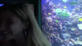You Take Jane Out To The Aquarium, And Then Creampie Her